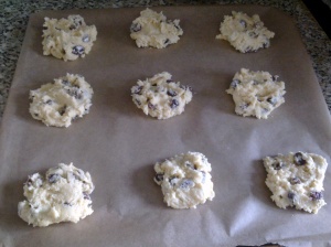 Rum and raisin biscuits, pre-baking