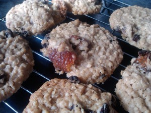 Oat, raisin and fig cookies